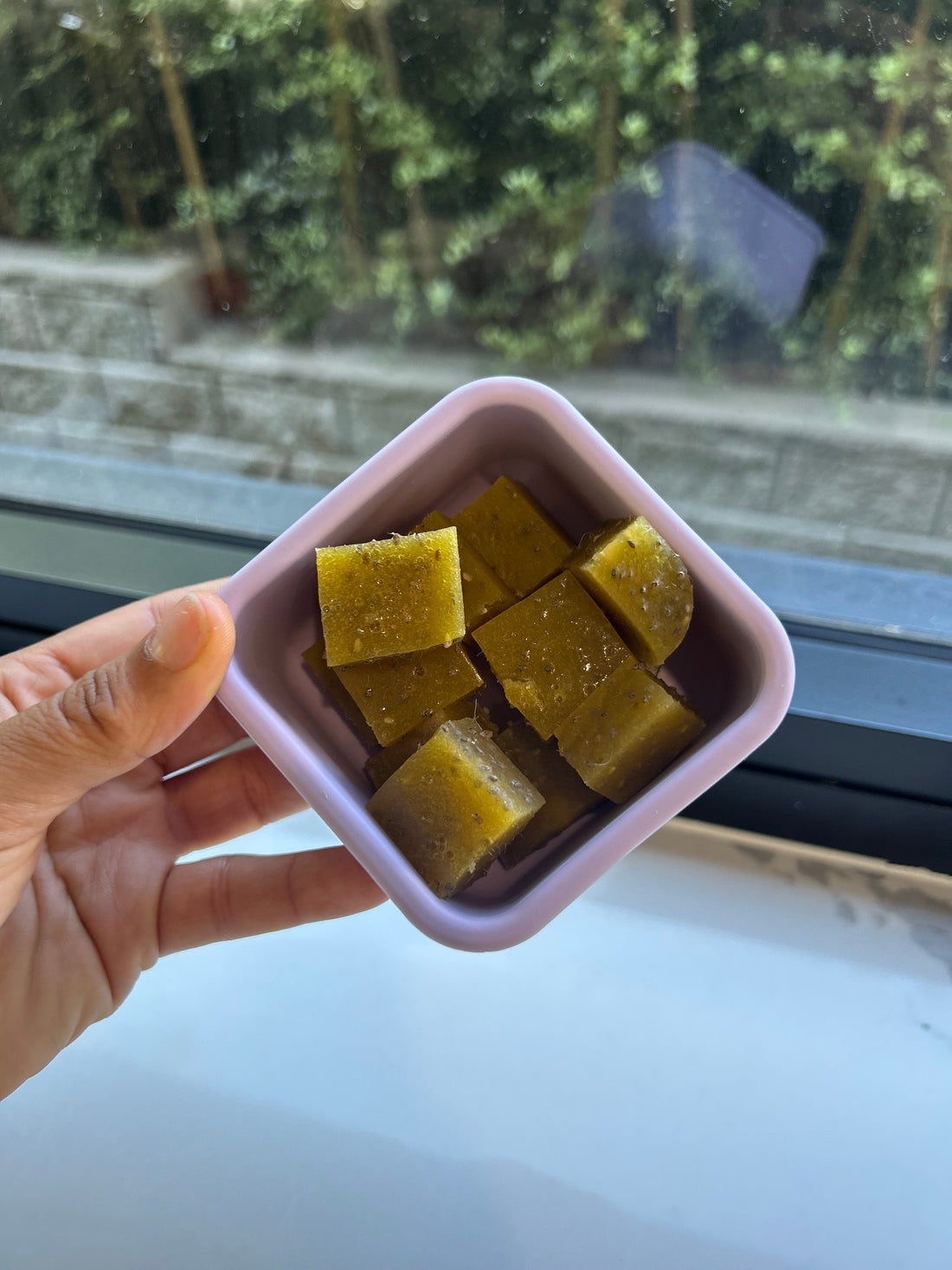 Mango Chia Gummies: The Perfect Lunchbox Snack